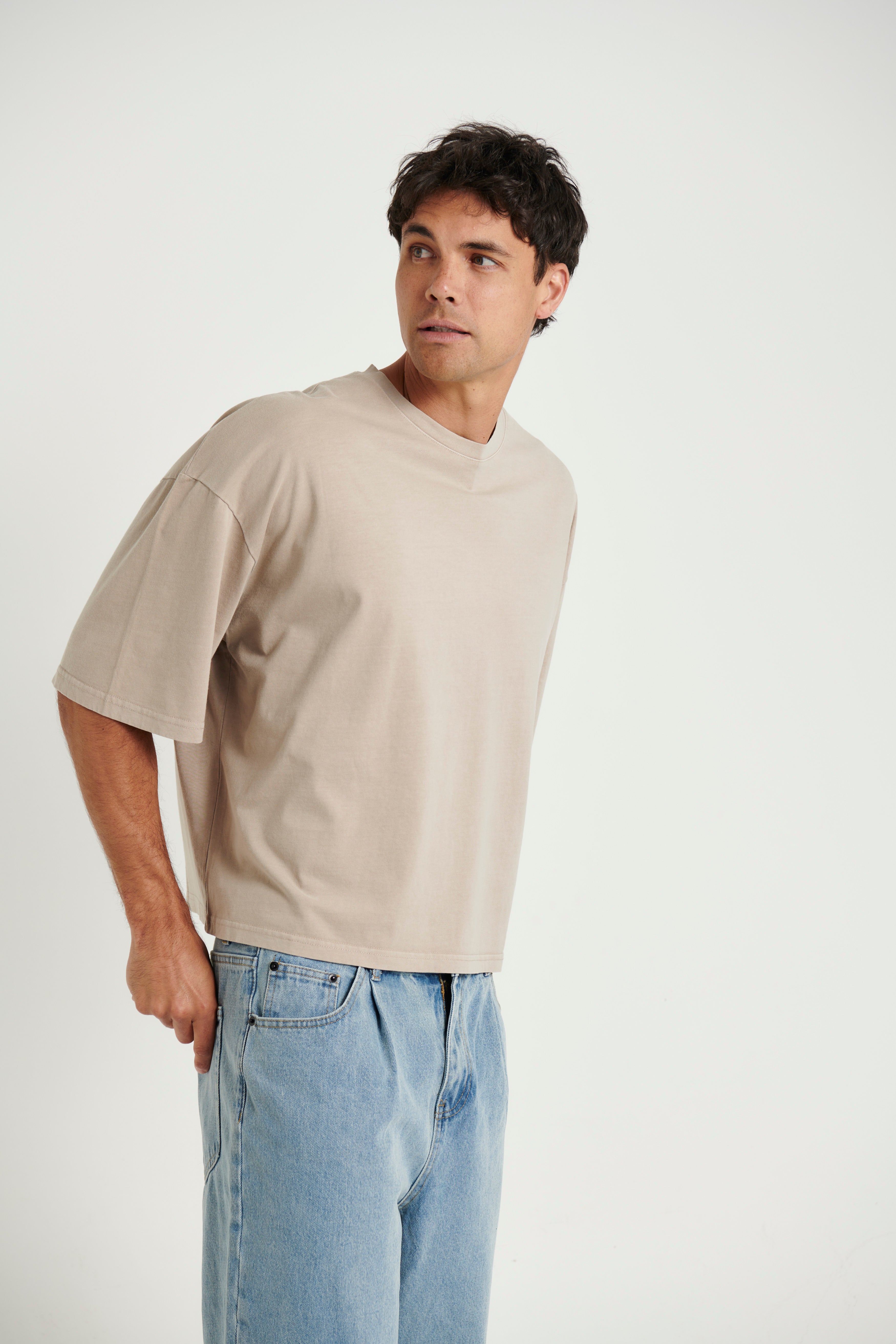 NTH Crop Box Tee Tan