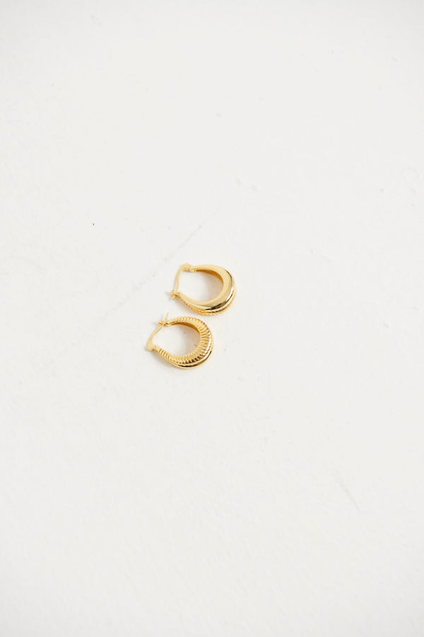Oval Coil Gold Plated Earrings