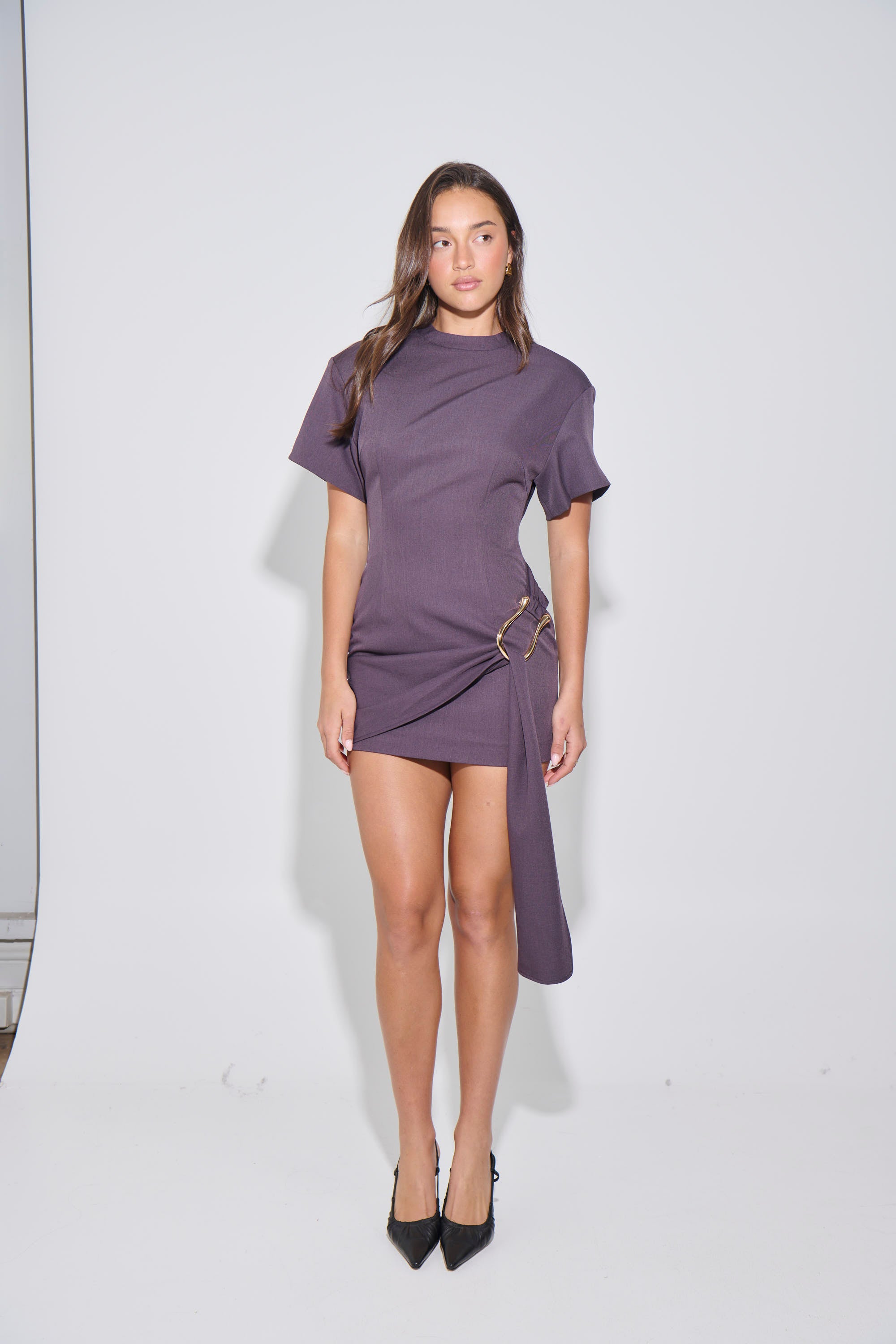 Martini Mini Dress Raisin
