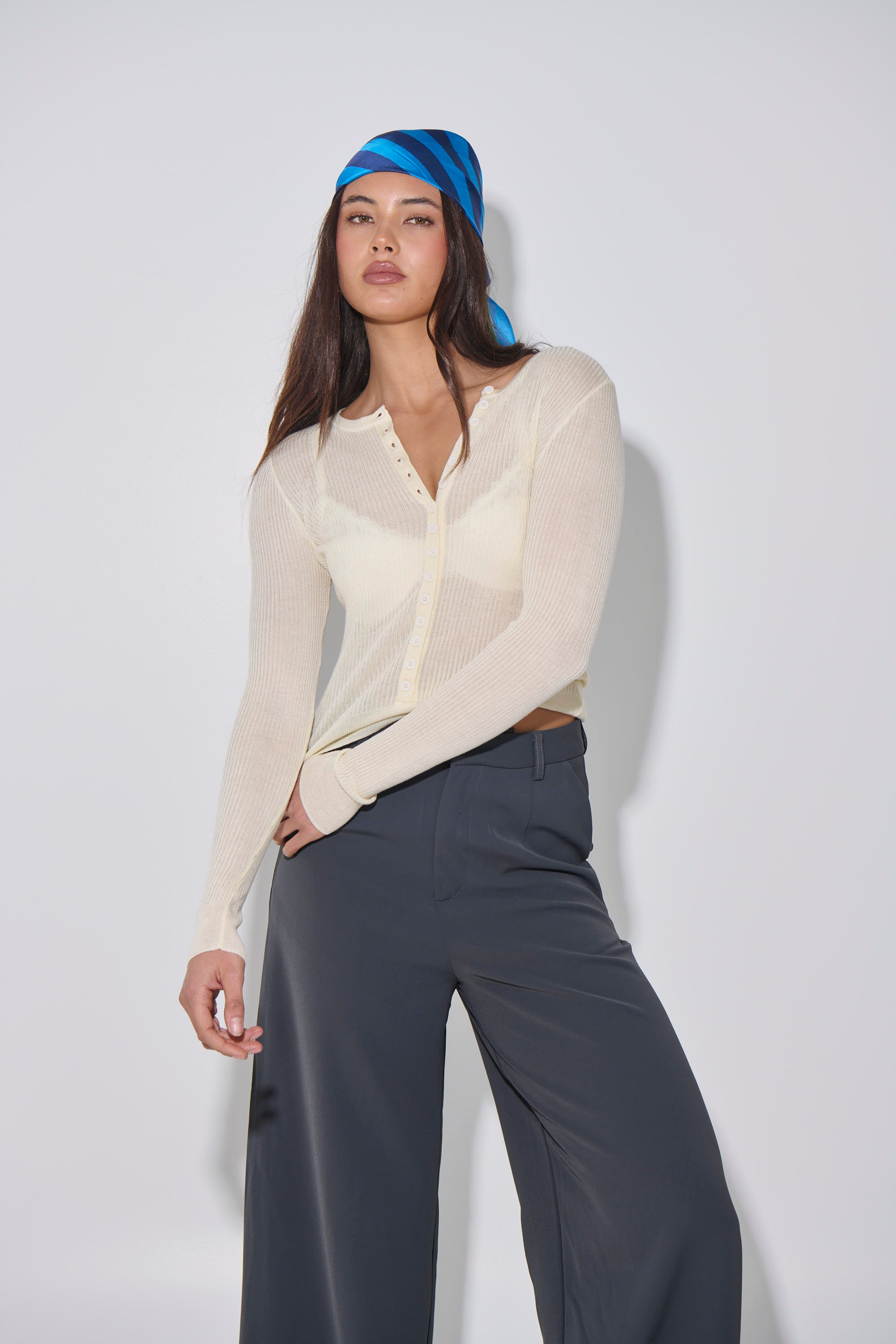 Analisa Sheer Top Beige