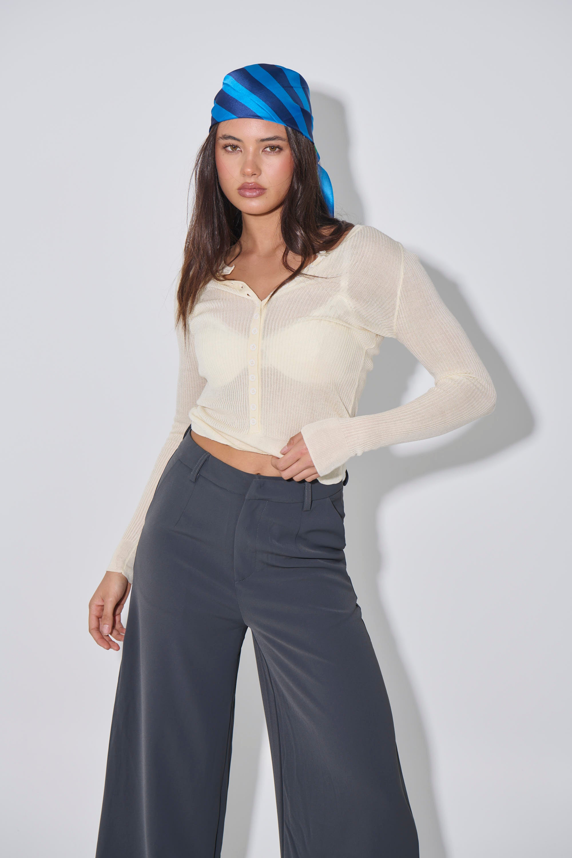 Analisa Sheer Top Beige