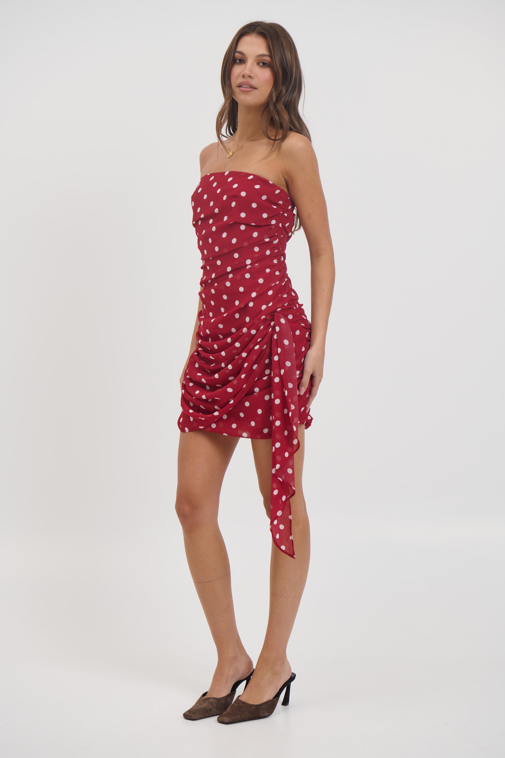 Charley Mini Dress Wine