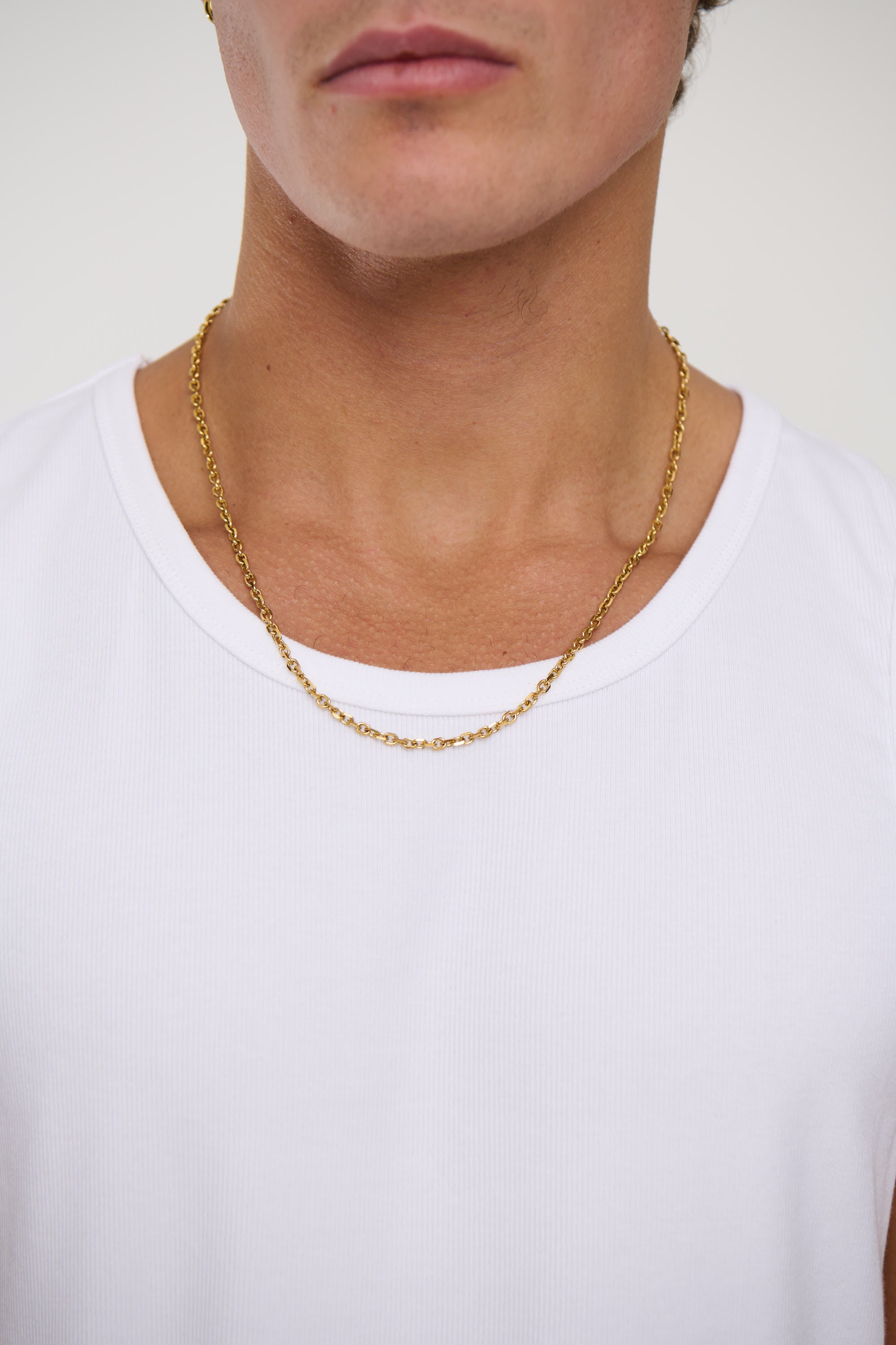 Premium NTH Mateo Chain Gold Plated