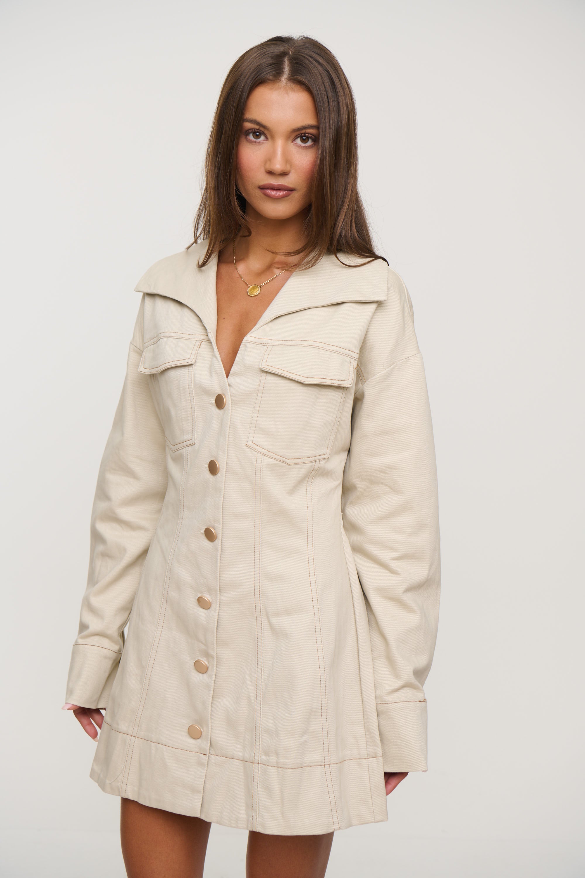 Merritt Mini Dress Beige