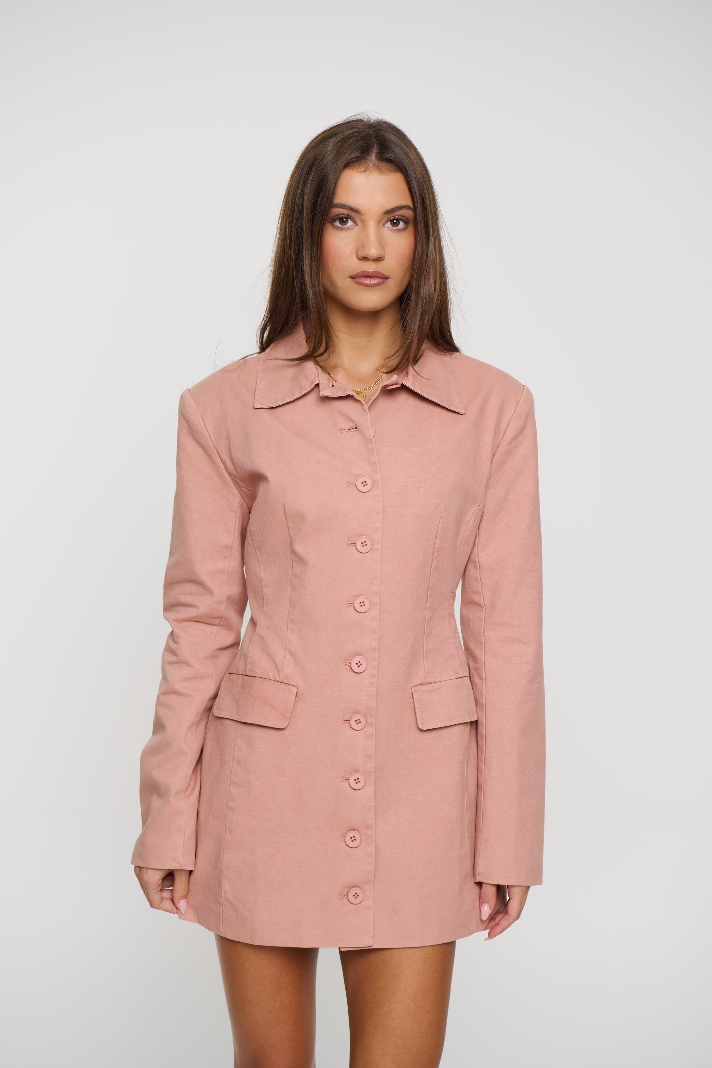 Cheri Mini Dress Rose