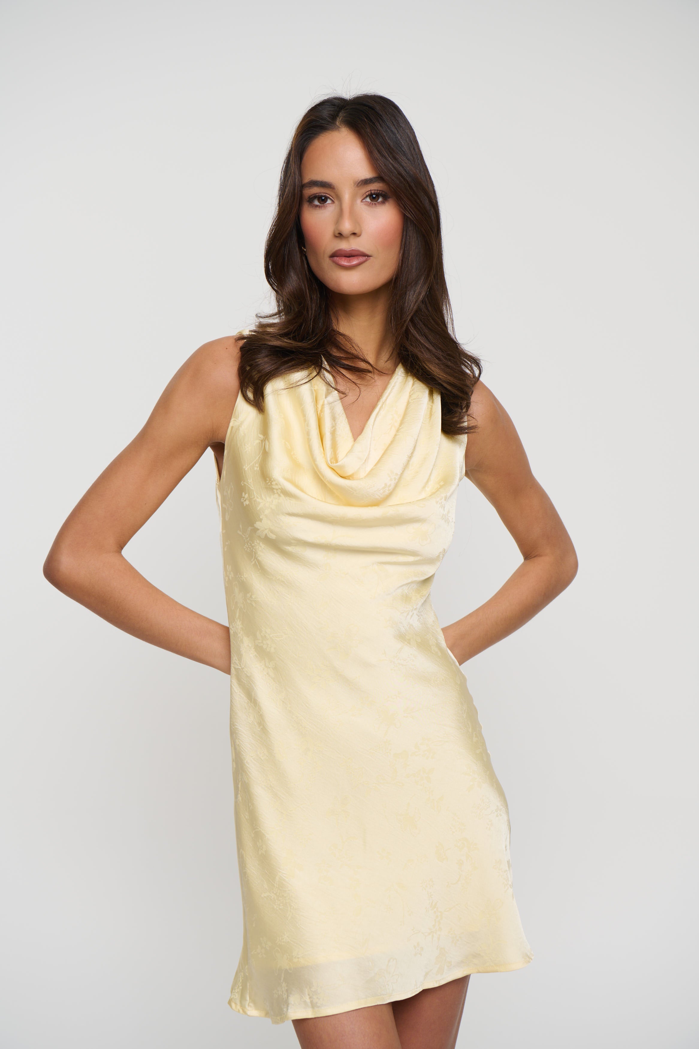 Ivana Mini Dress Lemon