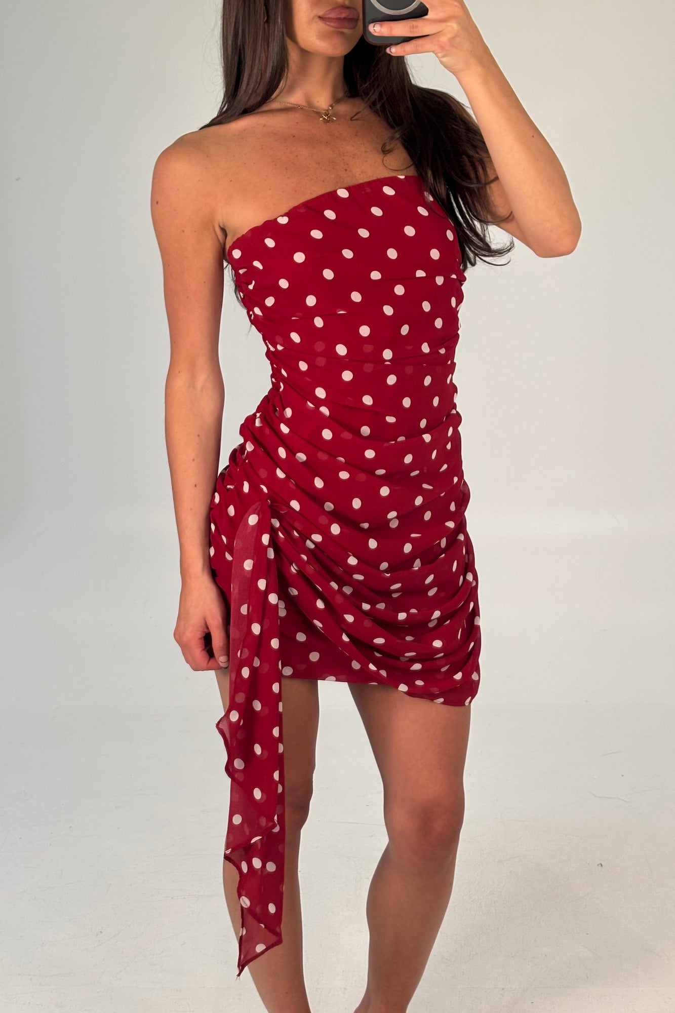 Charley Mini Dress Wine