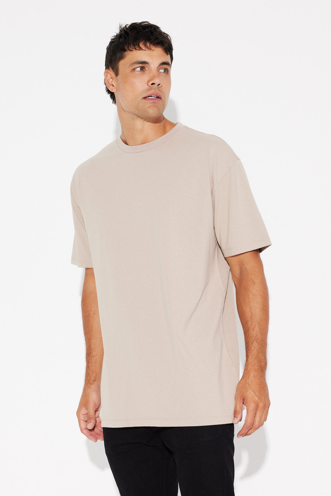NTH Heavyweight Tee Stone - FINAL SALE