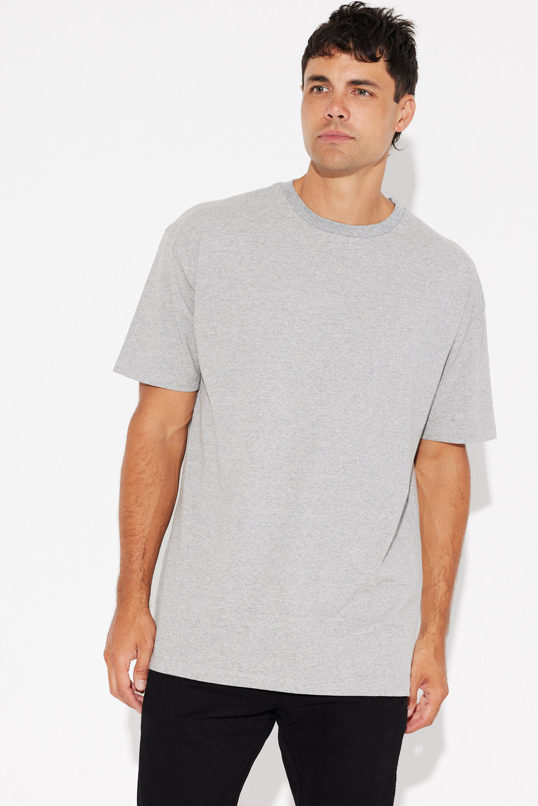 NTH Heavyweight Tee Grey Marle