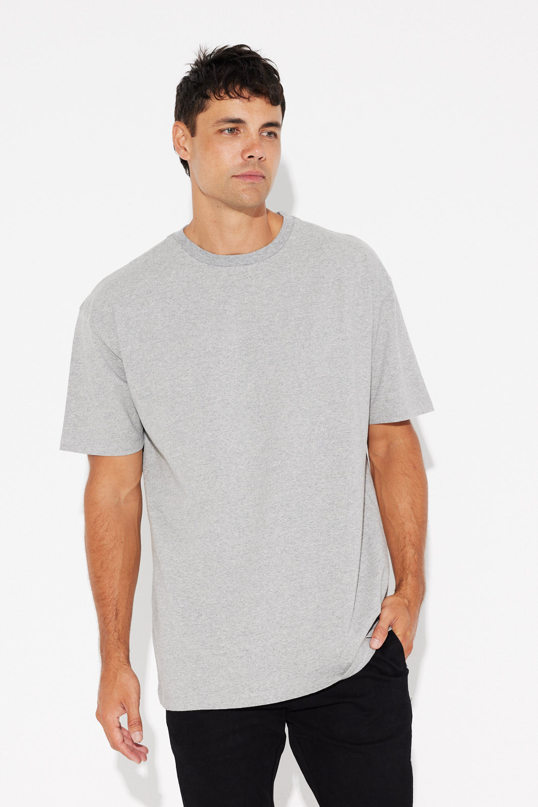 NTH Heavyweight Tee Grey Marle