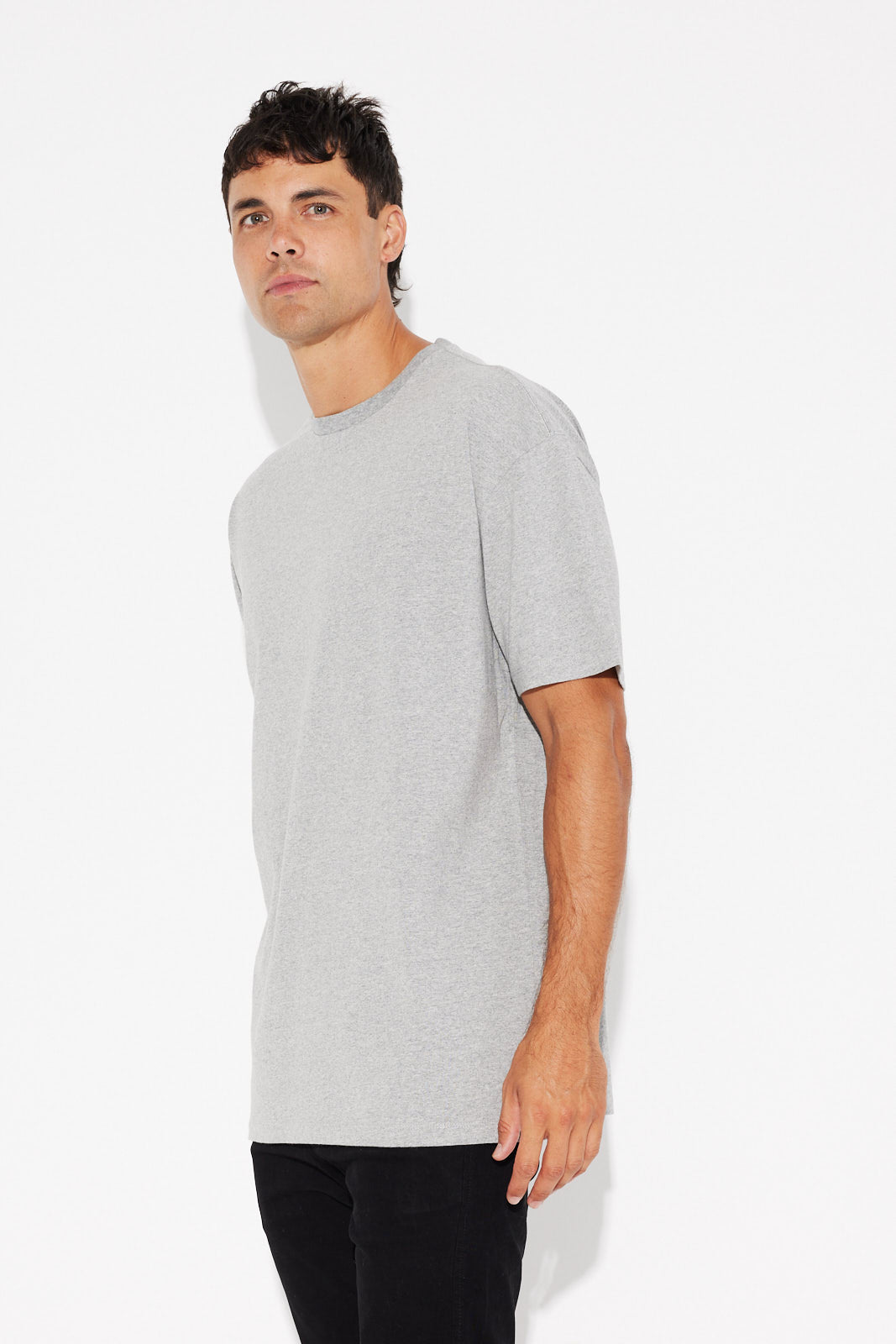 NTH Heavyweight Tee Grey Marle