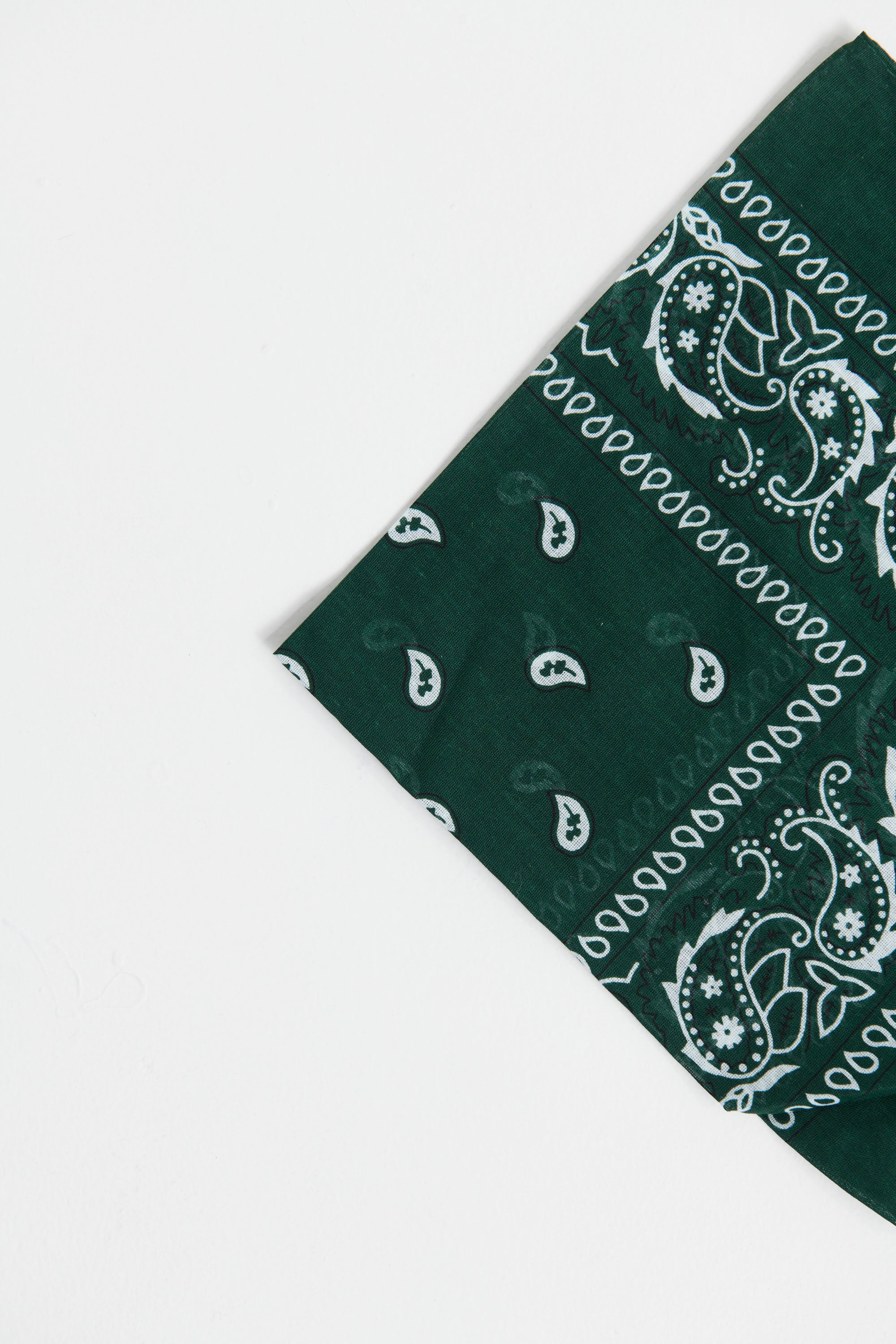 Western Bandana Forest