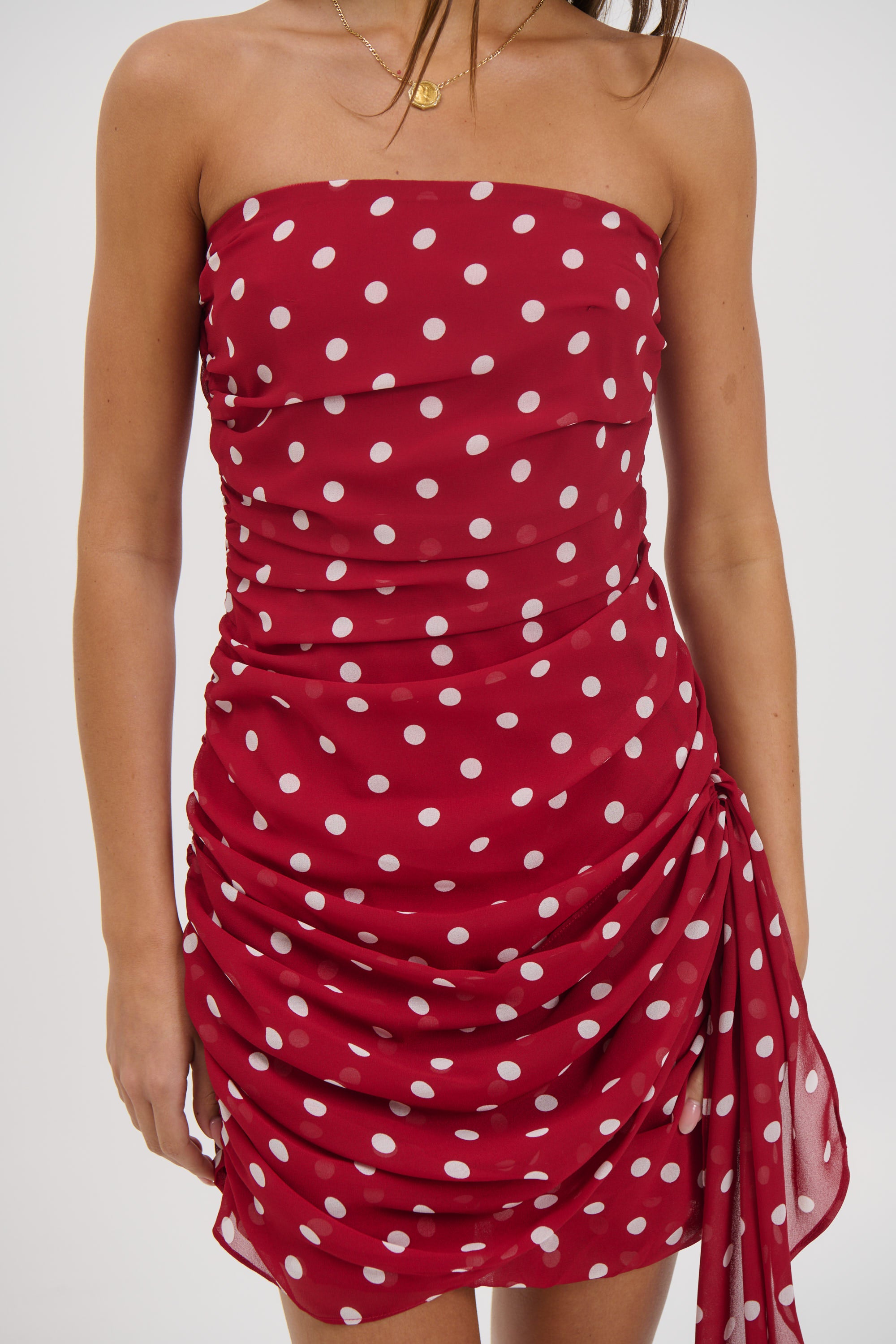 Charley Mini Dress Wine