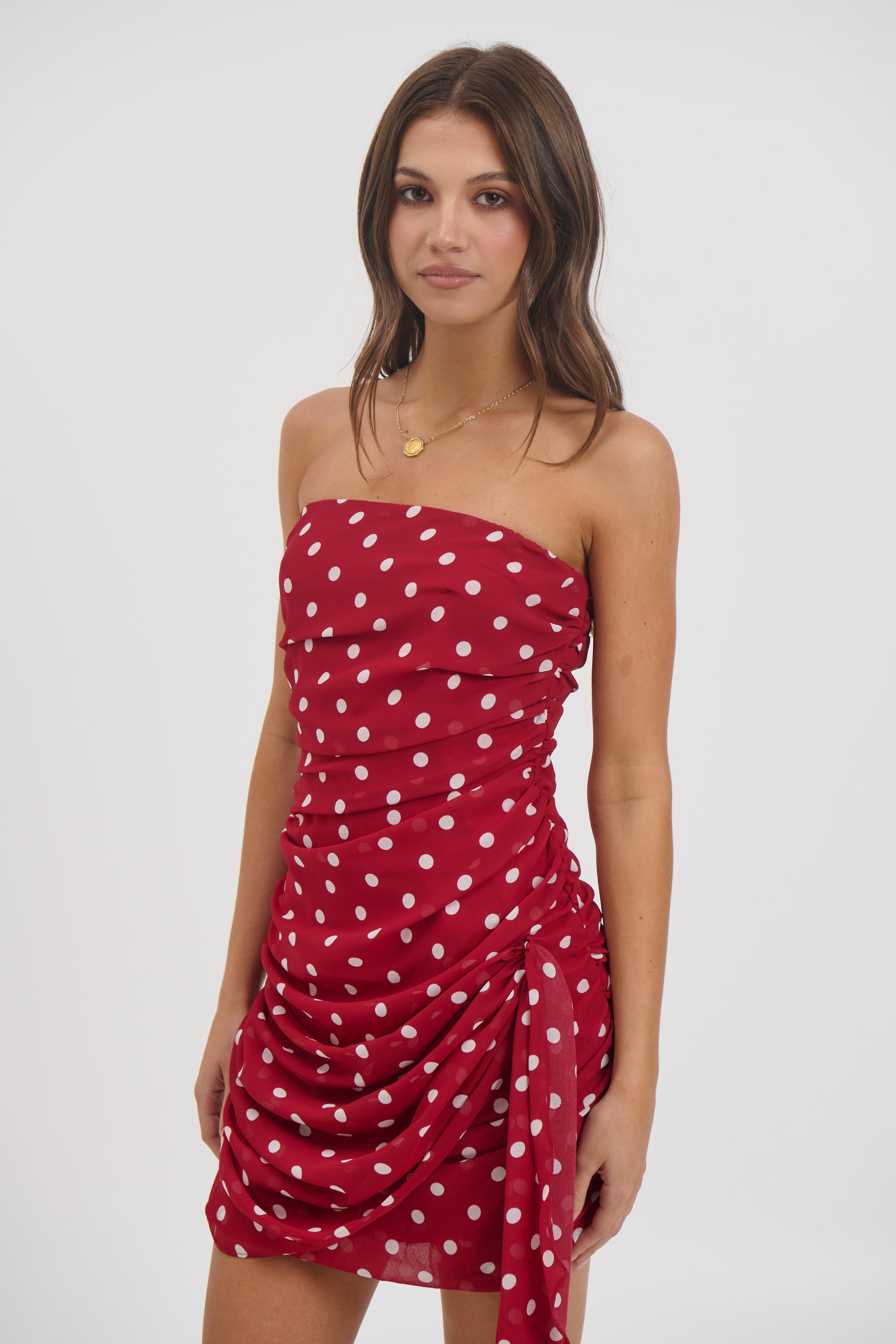 Charley Mini Dress Wine