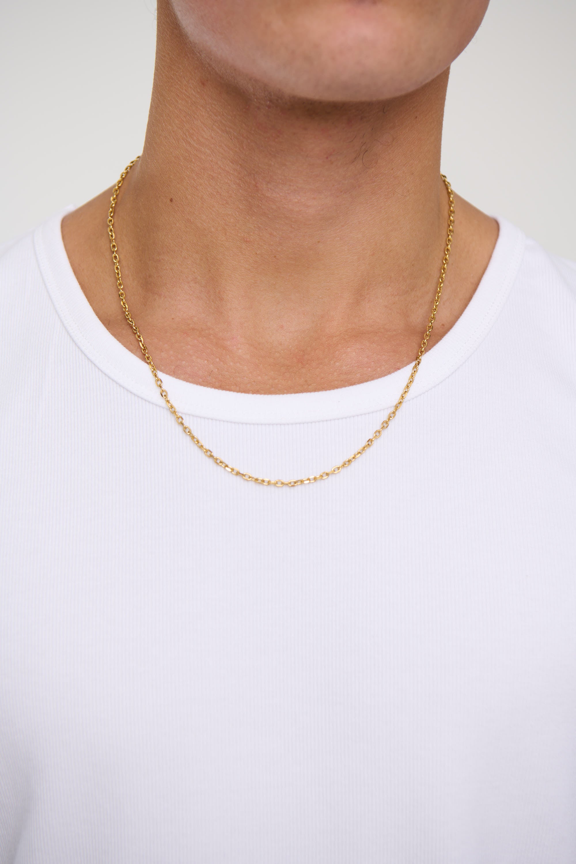 Premium NTH Theodore Chain Gold Plated