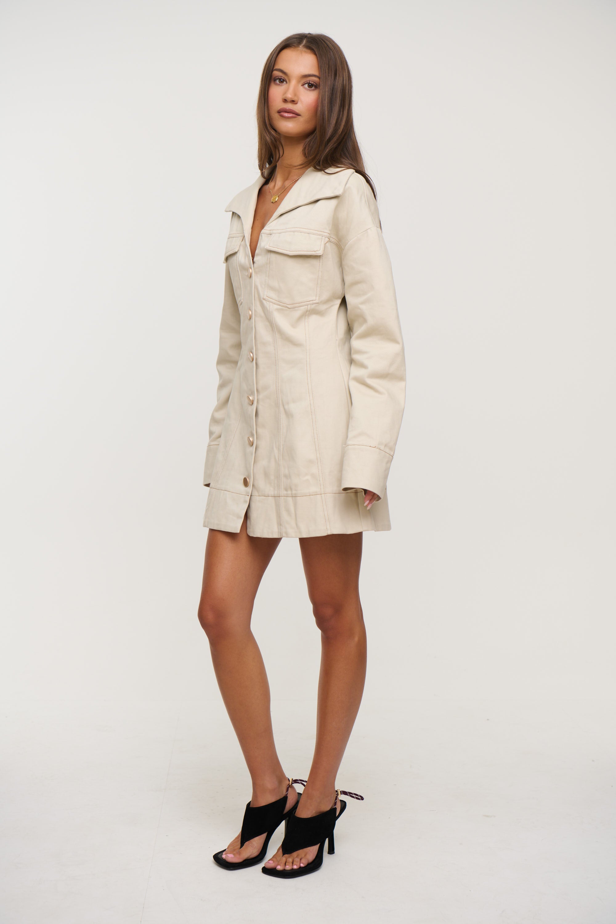 Merritt Mini Dress Beige