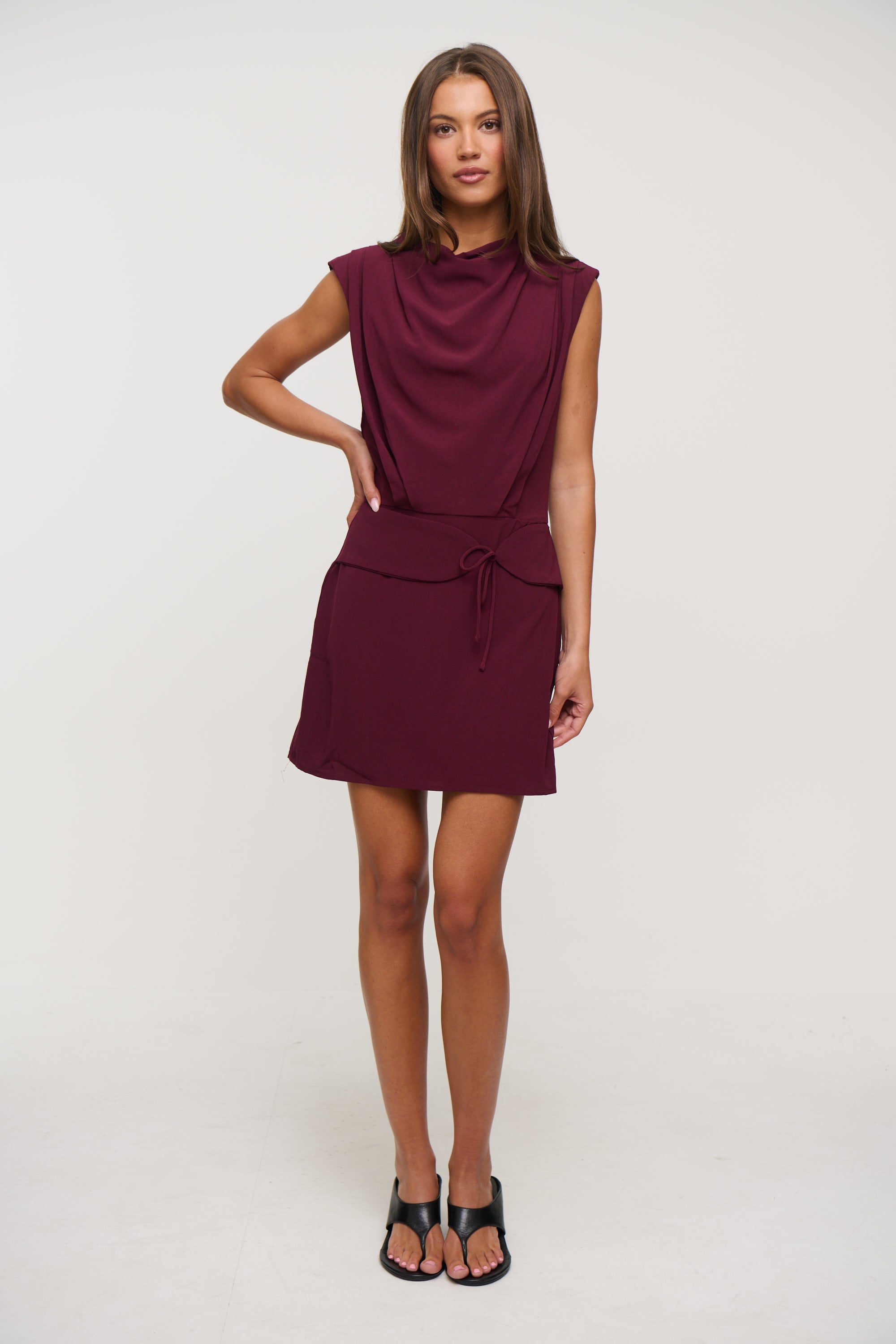 Ailani Mini Dress Wine
