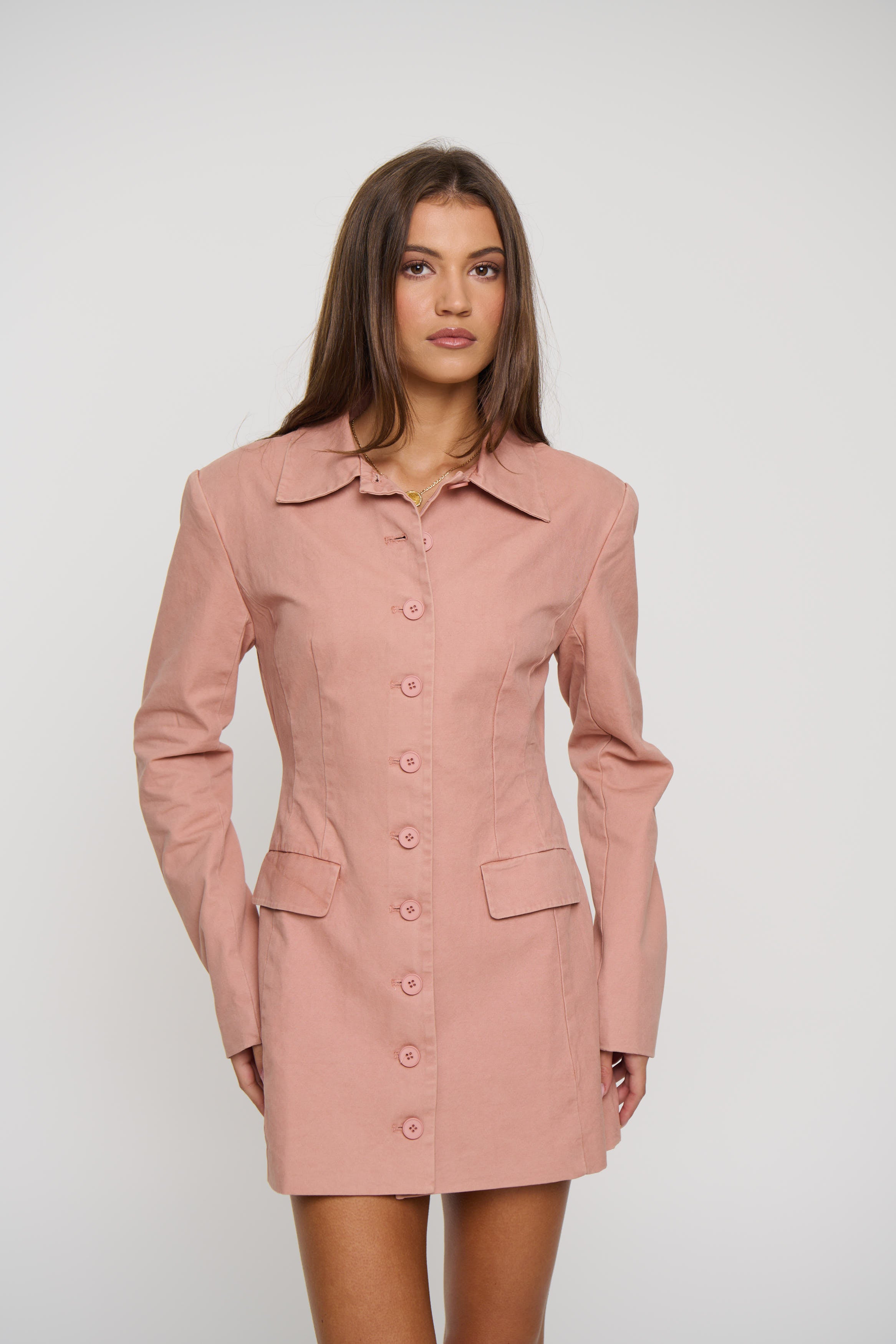 Cheri Mini Dress Rose