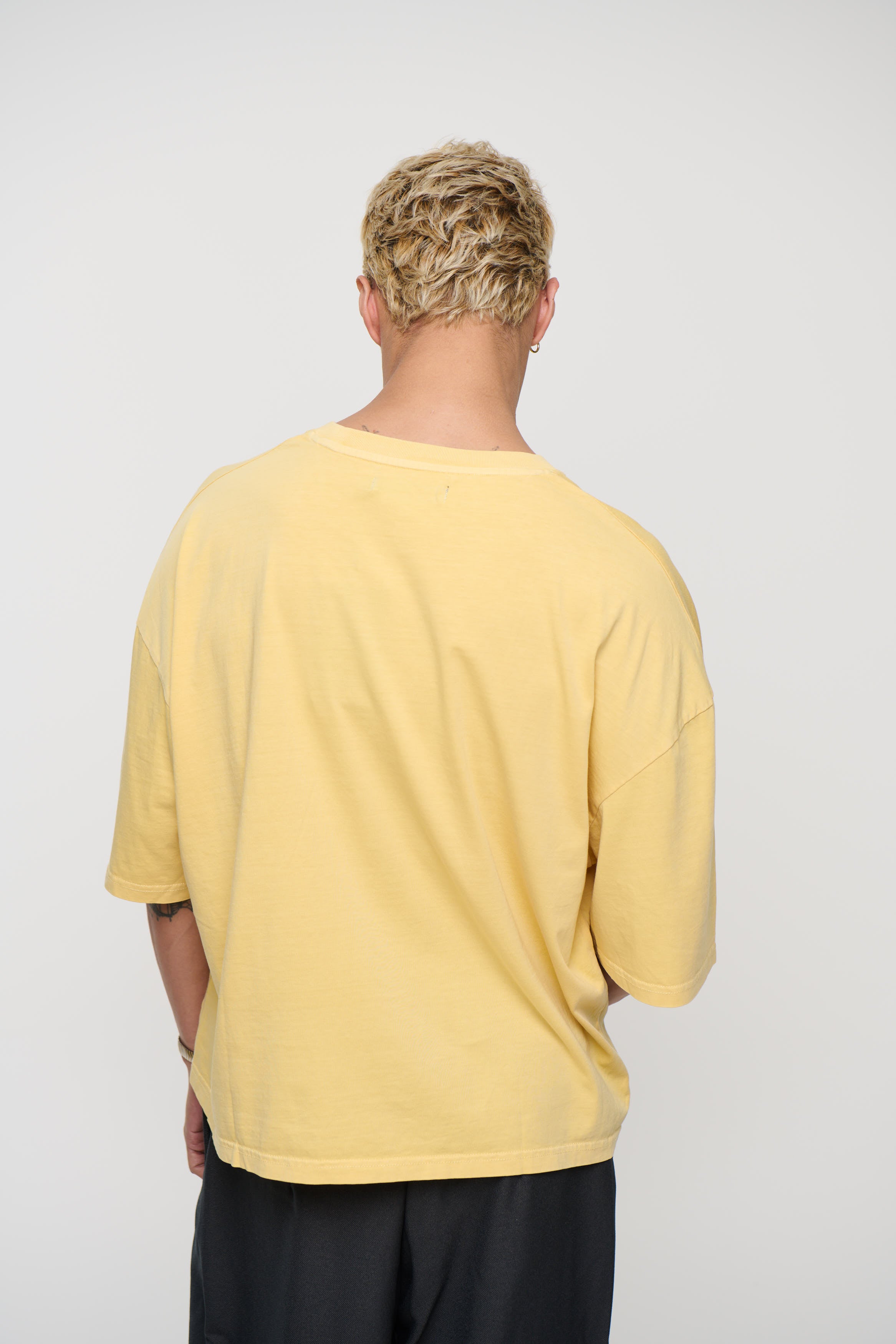 NTH Crop Box Tee Butter