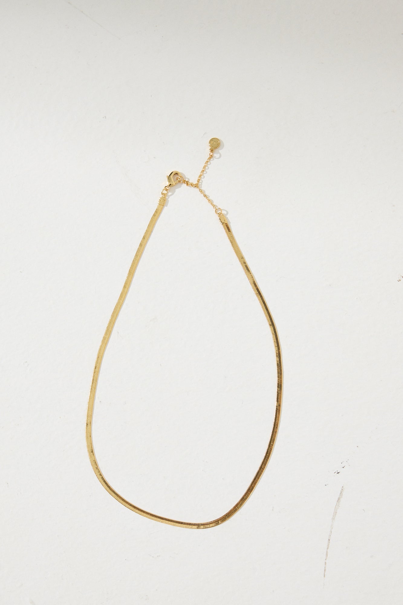 Bold Snake Gold Plated Necklace