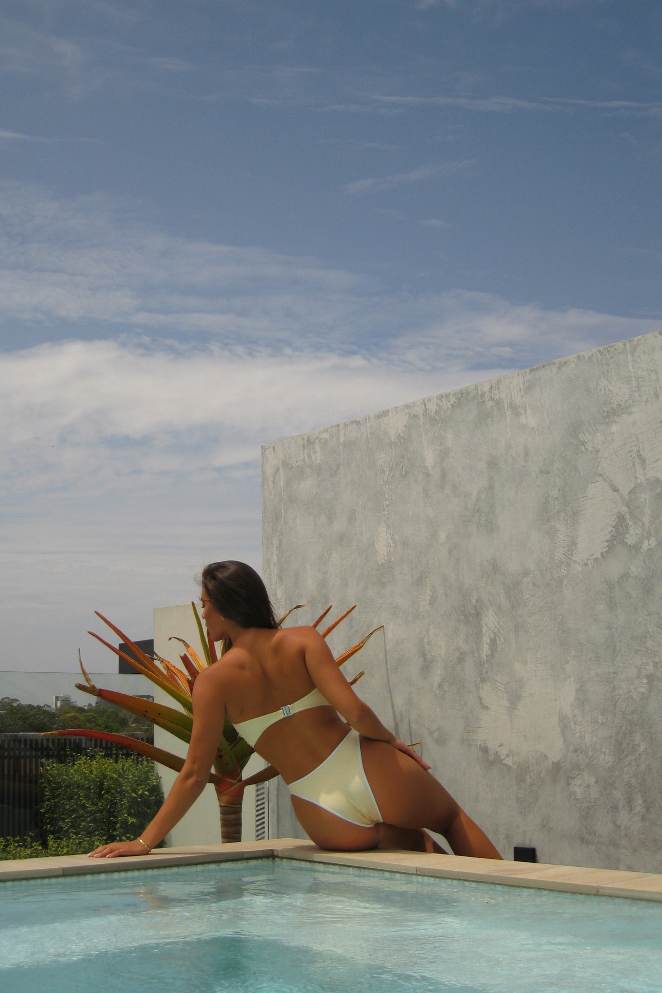 Bella Bottom Lemontini Polka